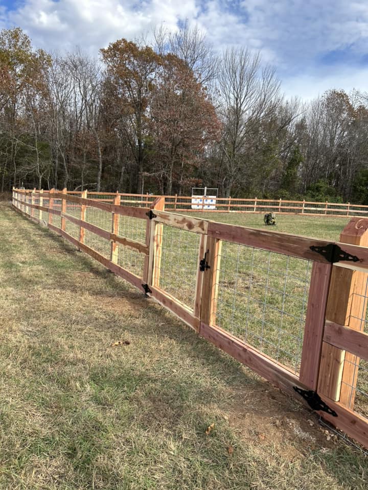 Chain Link Fences